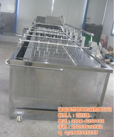 解凍機,鹽水注射機,洗筐機,掛冰衣機,果蔬清洗風干線等優惠價格