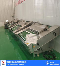 龍邦食品機(jī)械公司 食品全自動(dòng)真空包裝機(jī)價(jià)格